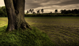 LANDWIRTSCHAFT / Vor den Toren meiner Heimatstadt Olfen im Münsterland. Ich habe es nicht weit um in die Natur zu kommen. Hier stehe ich am Abend vor einem bereits bestellten Feld.