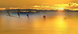 At dawn / ***