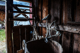 Ohne Titel / ***