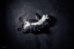 Leben / ***