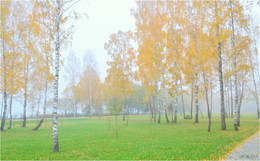 Herbstnebel / ***