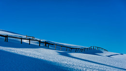 Zaunschatten / ---
