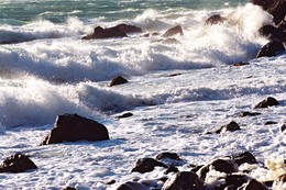 Sturm / ***