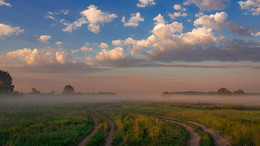 Field road / ***