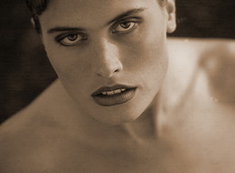 model / ***