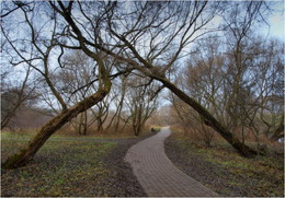 Walk / ***