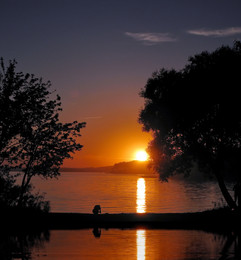 Am Ende des Tages / ***
