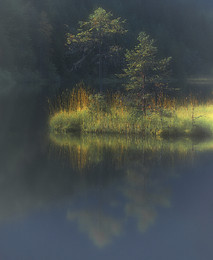 ARBER SEE / An einem FRÜHEN, NEBLIGEN MORGEN am KLEINEN ARBERSEE i. Bayerischen Wald.
Die SCHWIMMENDE INSEL hatte es mir angetan.