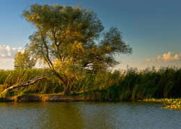 At sunset / ***