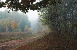 Herbstnebel / ***