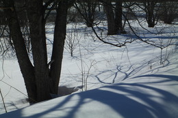 Shadow. / ***
