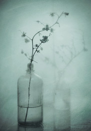 Spring / ***