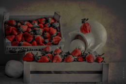 Strawberries / ***