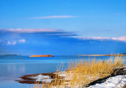  / Estonia