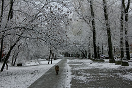 &nbsp; / [img]http://rasfokus.ru/upload/comments/02036ec0306cd4cba9a008e3ea4b457a.jpg[/img]
[img]http://rasfokus.ru/upload/comments/0c1ce16ad3e29d7f8a8e097cf5ac8f51.jpg[/img]
