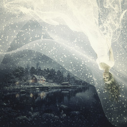 Winter / ***