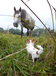 &nbsp; / [url=http://radikal.ru/big/4dae72e6f4f9454397e13fa83876a0f9][img]http://s017.radikal.ru/i420/1603/61/1f3a33034916.jpg[/img][/url]

[url=http://radikal.ru/big/79d602053c5b47ae872b68eb6babea8f][img]http://s020.radikal.ru/i701/1603/85/4d7b0bed0842.jpg[/img][/url]

[url=http://radikal.ru/big/914748a7fcd84fa280a80d14f5badc44][img]http://s020.radikal.ru/i707/1603/28/d4198c70df1e.jpg[/img][/url]