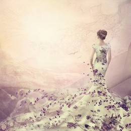 Spring / ***