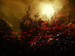 Summer Dreams / [url=http://radikal.ru/big/d066c2afee784933bc78589794c30de4][img]http://s019.radikal.ru/i612/1603/fa/81f696dcdc19.jpg[/img][/url]

[url=http://radikal.ru/big/7efc48150416421491ecd57aa0a45fe5][img]http://s018.radikal.ru/i507/1603/7c/dc7f33ab98e3.jpg[/img][/url]