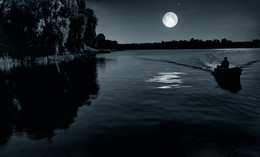 In the night... / ***