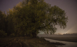 Autumn Night / ***