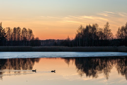 spring landscape / ***