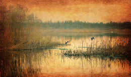 By the lake / ***