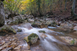 Stream / ***