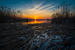 Sunset flame / ***