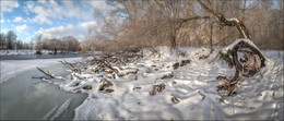 Winter Forest / ...