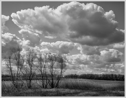 By the lake / ***