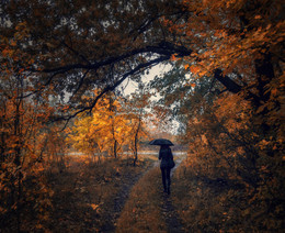 Autumn Story / ***