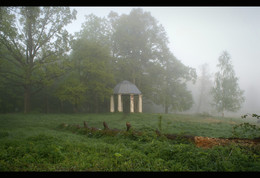 Morning in old park / ***
