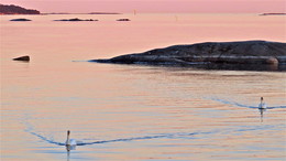After sunset / ***