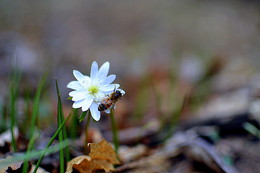 April. / ***
