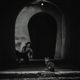 Cats / ***