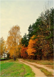 Entlang den herbstlichen Wald / ***