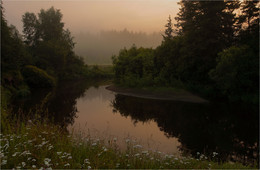Foggy morning / ***