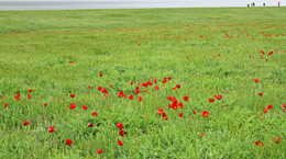 &nbsp; / [img]http://rasfokus.ru/upload/comments/38083597eeb17b6e8bbb34e474b0659f.jpg[/img]
[img]http://rasfokus.ru/upload/comments/63ac0963918fac3eadadcf180362ebeb.jpg[/img]
[img]http://rasfokus.ru/upload/comments/b09f294892386a10f76e43f0248c7cc9.jpg[/img]
