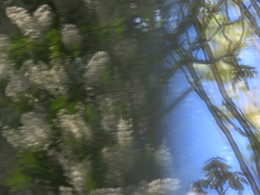 spring theme / 1
[img]http://cs626925.vk.me/v626925766/63ac/5Inr0ifdd40.jpg[/img]

2
[img]http://cs626925.vk.me/v626925766/63b5/3VHeZ_arxhI.jpg[/img]

3
[img]http://cs626925.vk.me/v626925766/63be/45QLJPjps7o.jpg[/img]

4
[img]http://cs626925.vk.me/v626925766/63a3/x2tkp910C08.jpg[/img]

5
[img]http://cs626925.vk.me/v626925766/63c7/_tbCKCB2b1I.jpg[/img]