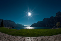 Toward the light / ***