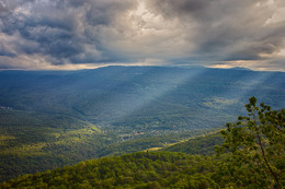 Toward the light / ***