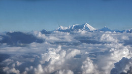 Toward the light / ***