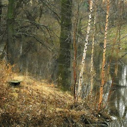 Im letzten Herbst / https://youtu.be/ntkLAhJMmxk