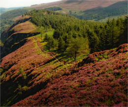 ... Trails Glendalough ... / ***