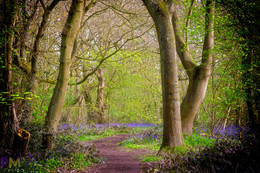 Spur / https://www.peternutkins.photography