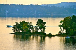 morning flight / ***