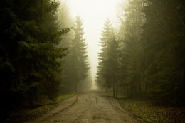 Fog / ***
