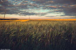 Abend / ***