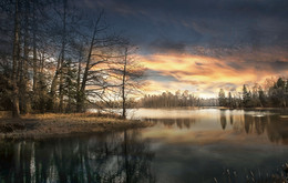 Nature / ***
